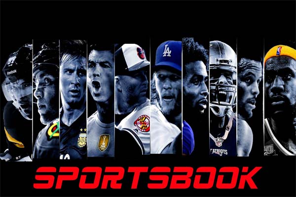 Panduan Dasar Bermain Sportsbook